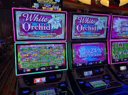 Antarmuka Gaple Online di pulaujudi slot menampilkan kartu domino dan pemain lawan